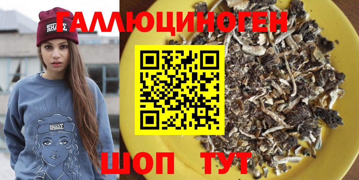Галлюциногенные грибы Psilocybine cubensis  Галлюциногенные грибы Psilocybe  Вход с VPN  что такое   Кириши 