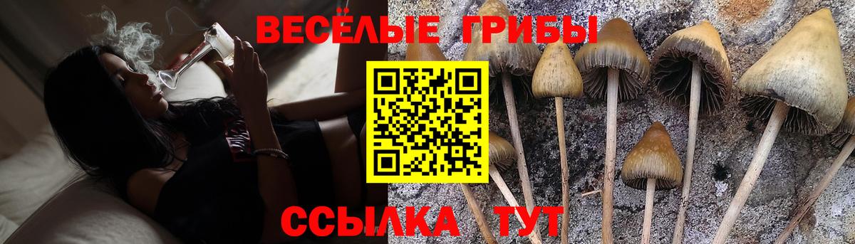 Галлюциногенные грибы мухоморы Кириши